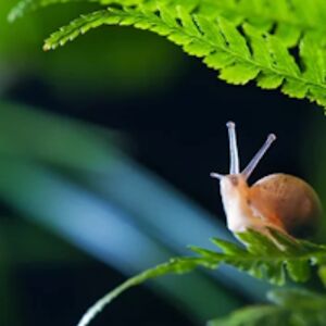 adalynncaldwell avatar