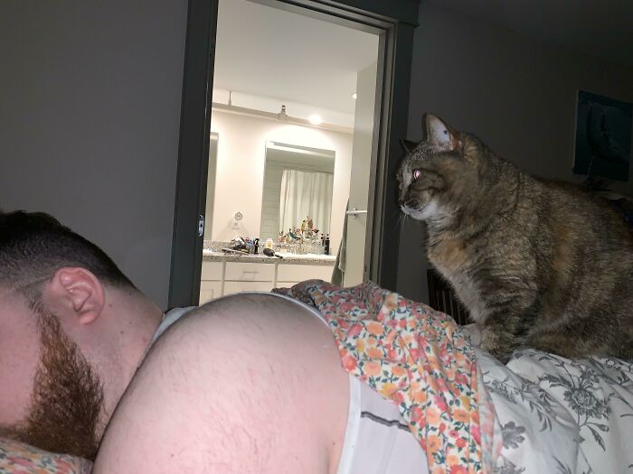 My Cat Sits On And Stares At My Boyfriend When We Sleep
