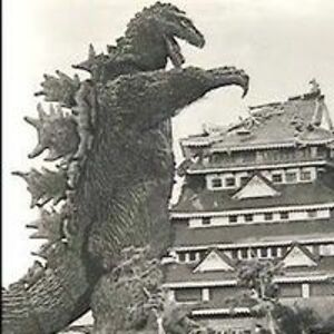 texastomatoes avatar