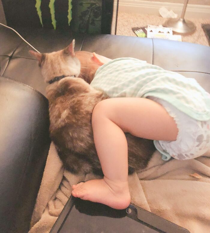 I Might’ve Found The Only Cat Willing To Cuddle A Human Child Who’s Perfect For My Cuddly Baby