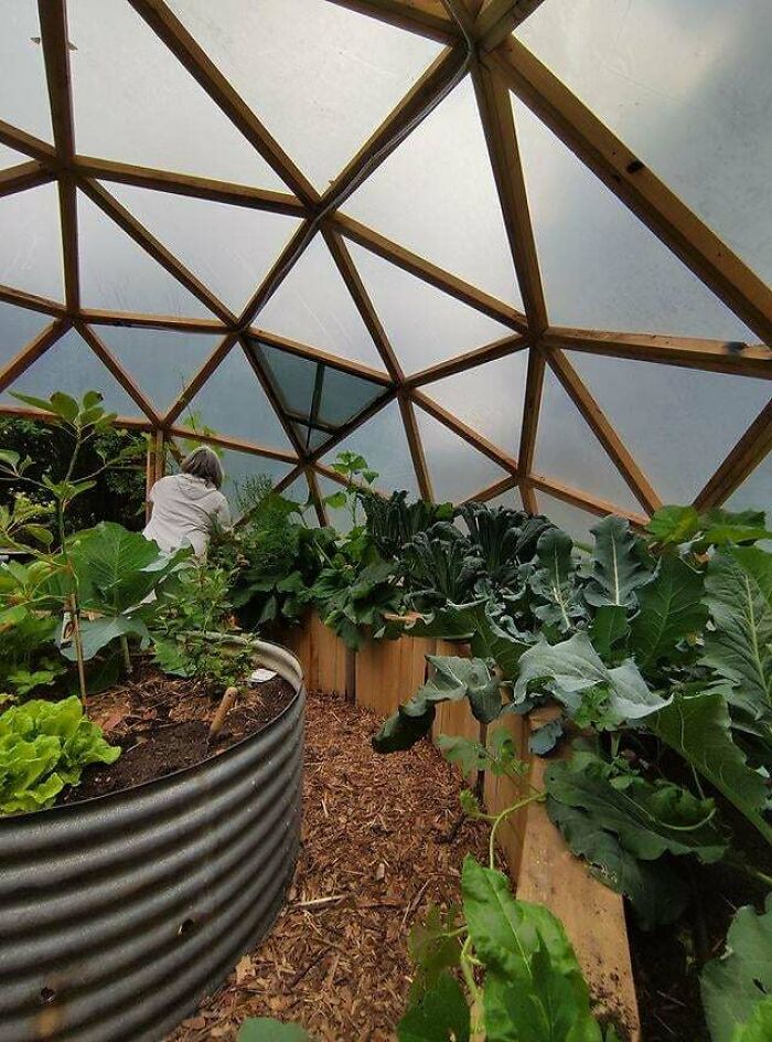I Was Told Y’all Would Like This Greenhouse I Built Last Spring