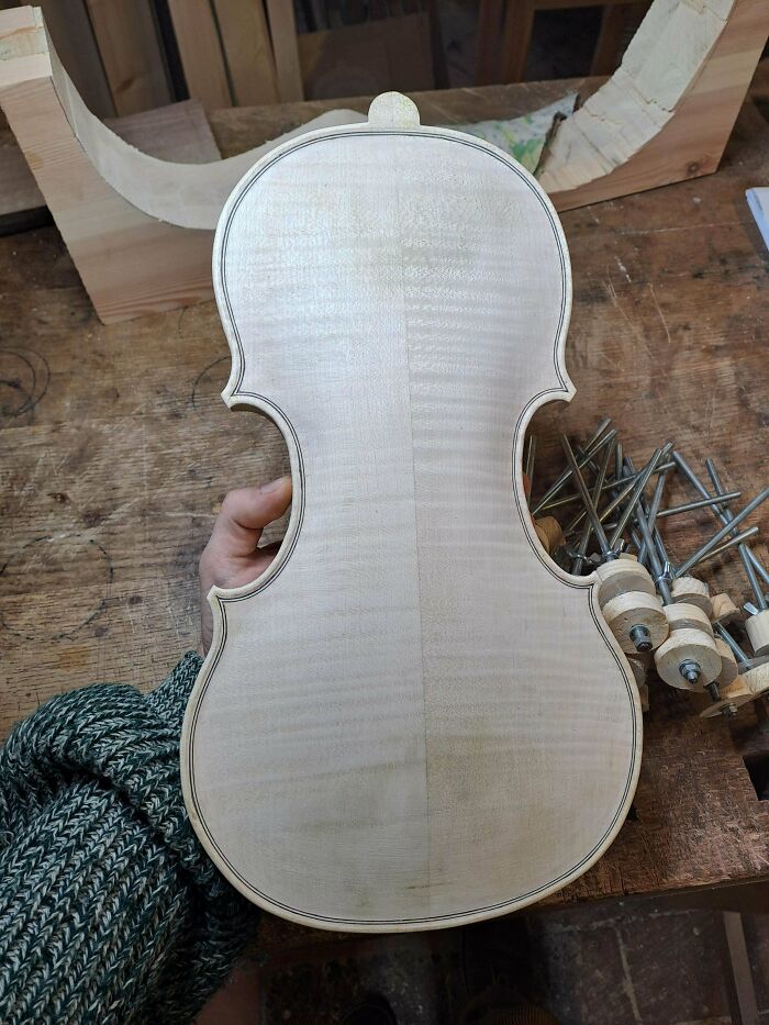 Just Wanted To Share My Excitement! Glued The Back Of My First Violin