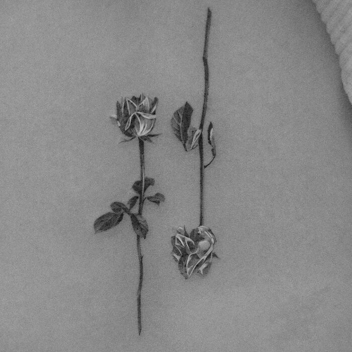 Realistic roses tatoo