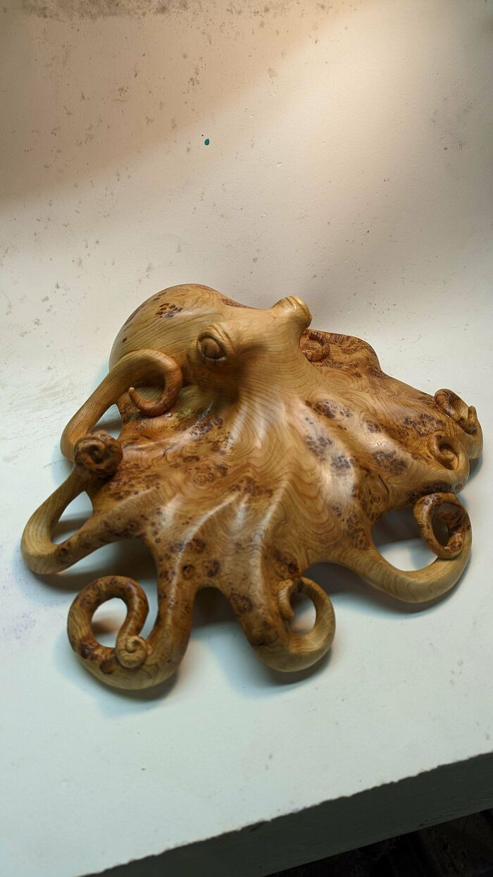 Pulpo #1, nudo de abeto tallado por mí, 2023