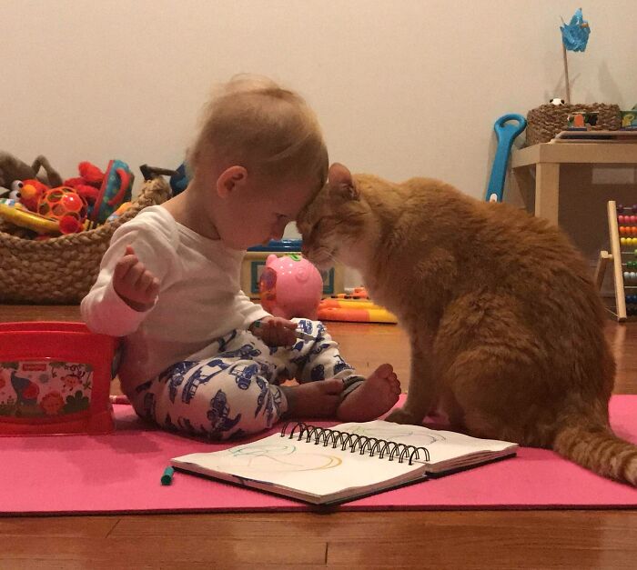 My 1.5-Year-Old Son And 14-Year-Old Cat Had A Moment This Morning