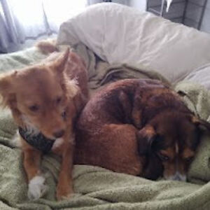 jamesconnolly_1 avatar