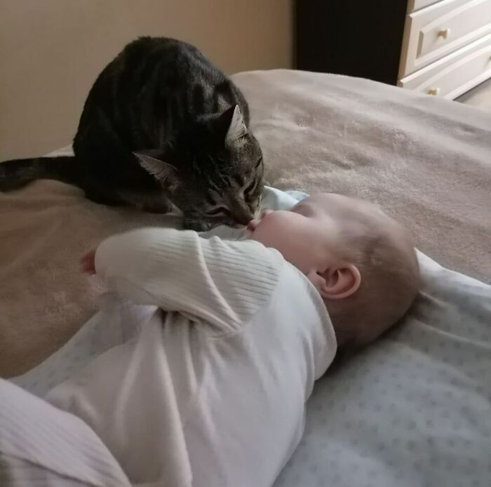 Babysitter's Morning Kisses
