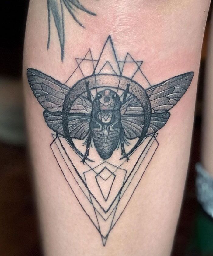 Geometric animal tattoo featuring a cicada, showcasing simplicity and realism.