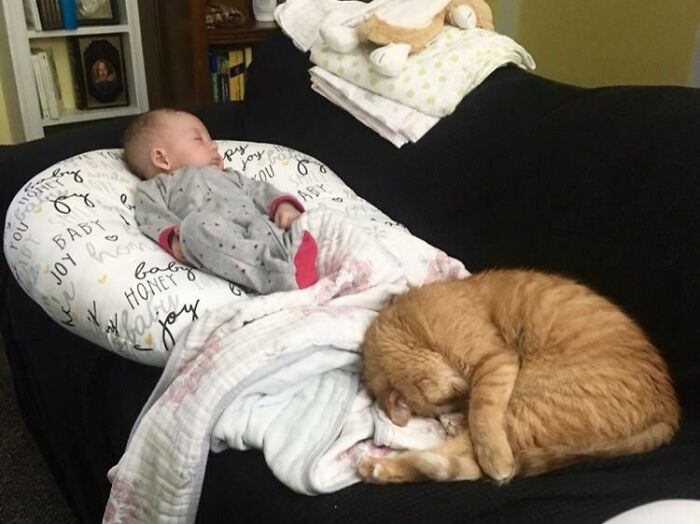 A Baby Sitter. Although, He's Not Doing A Very Good Job