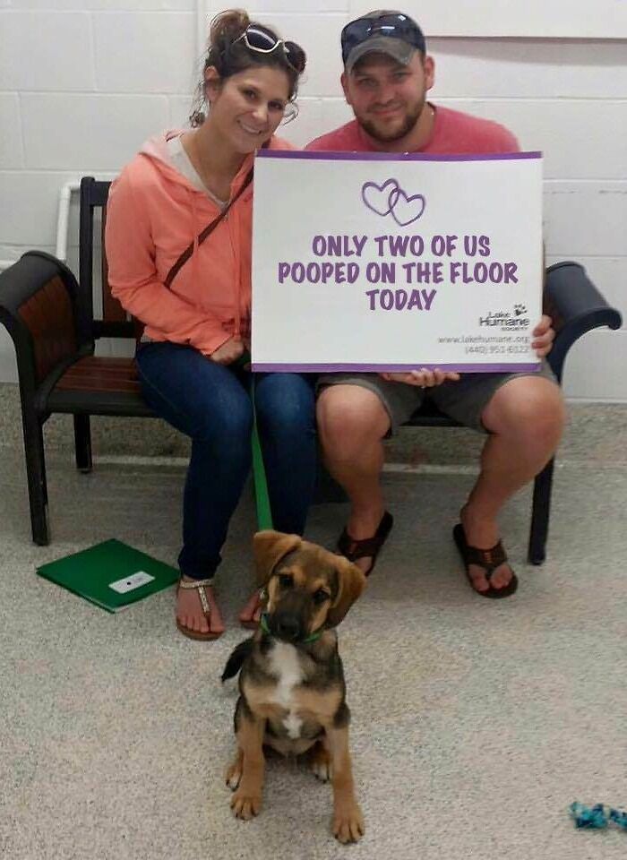 My Sister And Her Husband Adopted A Puppy. The Humane Society Sure Gives Out Weird Signs To Celebrate It