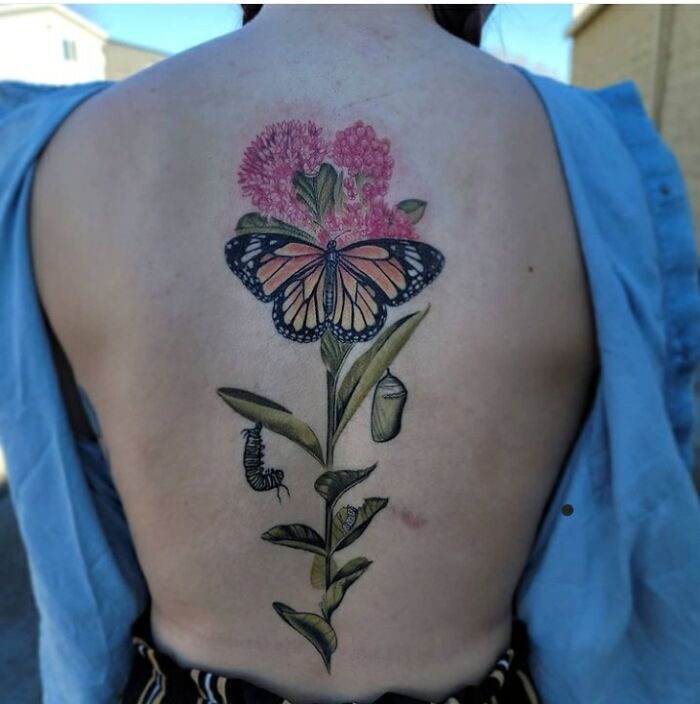 The Butterfly And Below Were Done In December, And The Flowers Were Done Today. All By Anthony Van Stratten At Eye Candy Tattoo In Omaha, Ne