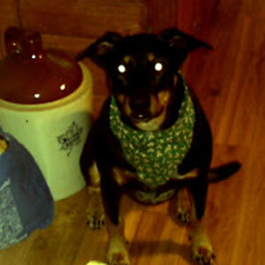 jenniferamerson avatar