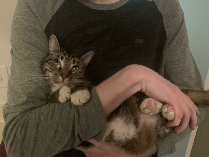 The Face She Makes When My Husband Holds Her