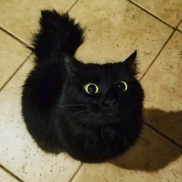 The Void Would Like Some Snackies