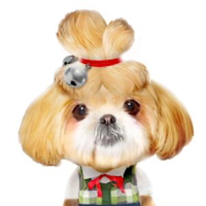 dylanthompson avatar