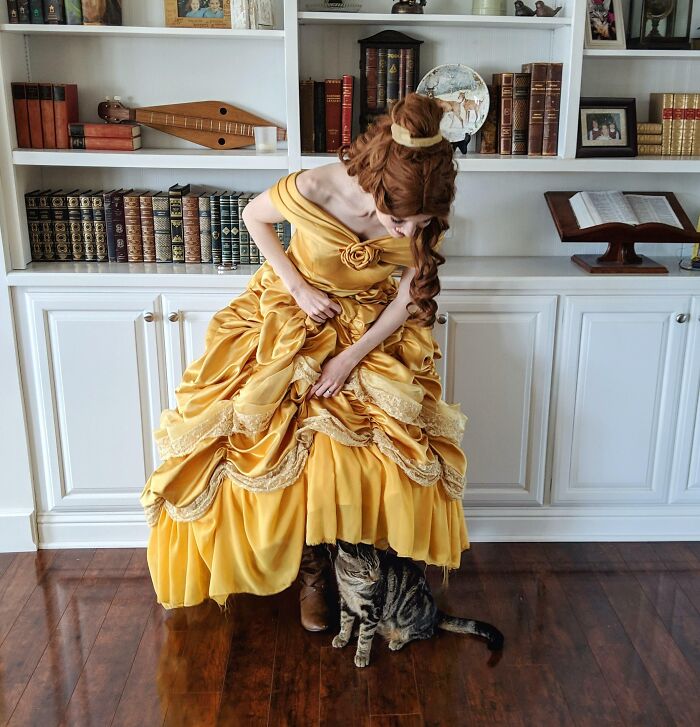 I Work As A Professional Princess On Weekends. My Kitty Insists On Inspecting Each Costume For Detail Accuracy