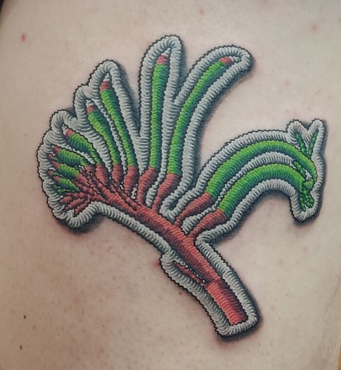 Patchwork Kangaroo Paw, By Min At Authent/Ink Sydney