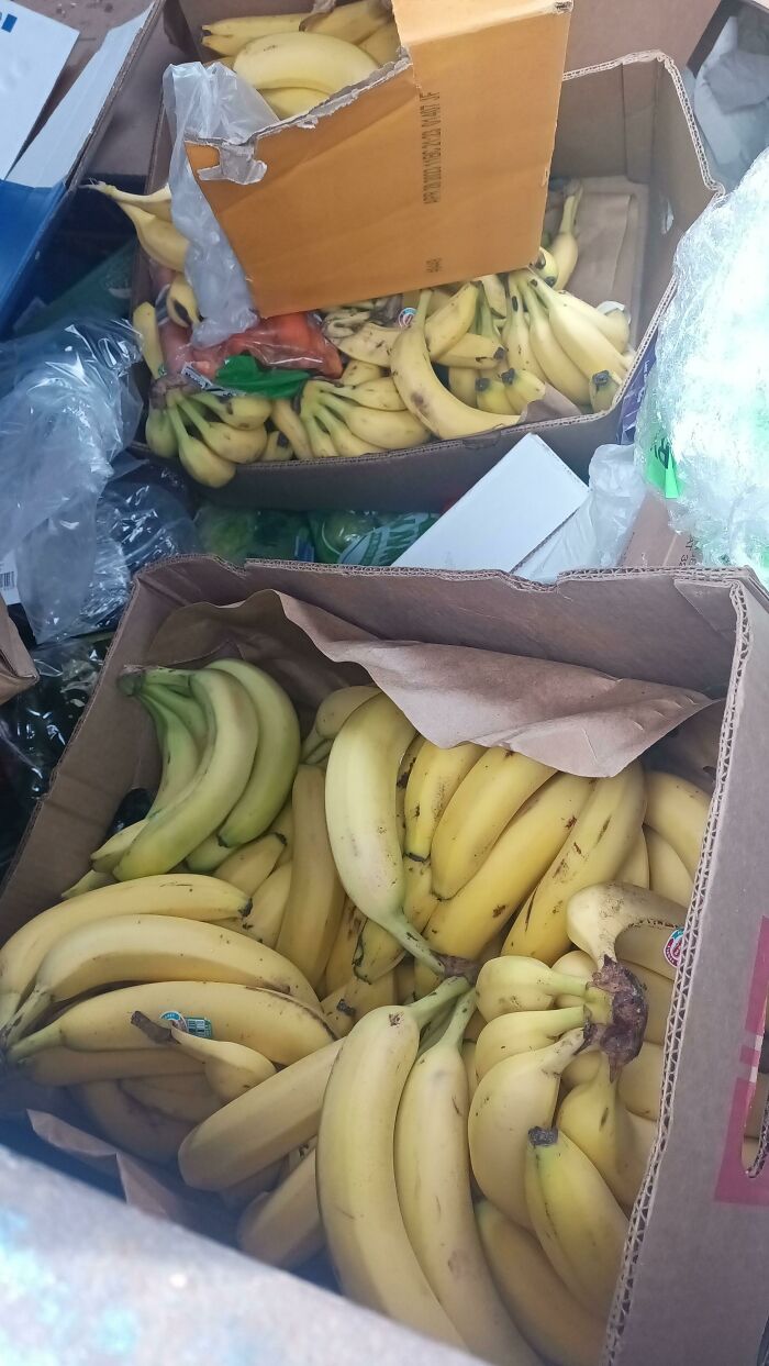 Bananas All The Way Down