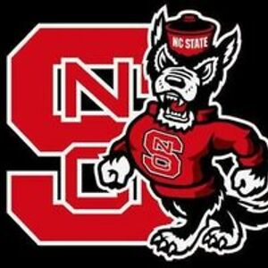 danimallector avatar