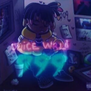 dehvlynbjorklund avatar