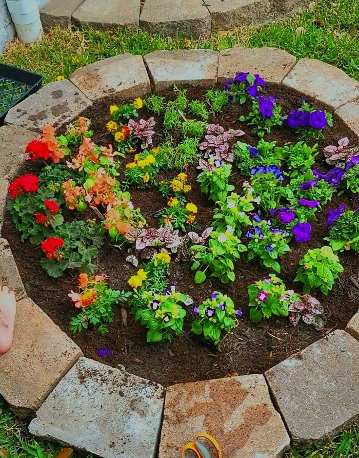Mi hermano menor (13) hizo un jardín arco iris. Está muy orgulloso de él y quería que lo publicara