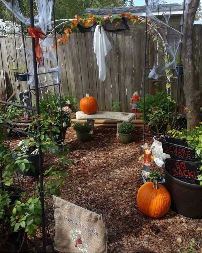 My Son's Memorial Garden. Gardening Helps Me So Much Mentally To Get Through Some Really Rough Moments. October Is Both My Son's Birth Month And Death. This October He Will Be Gone 2 Years. He Would Be 19 This Year. How Does Gardening Help You?