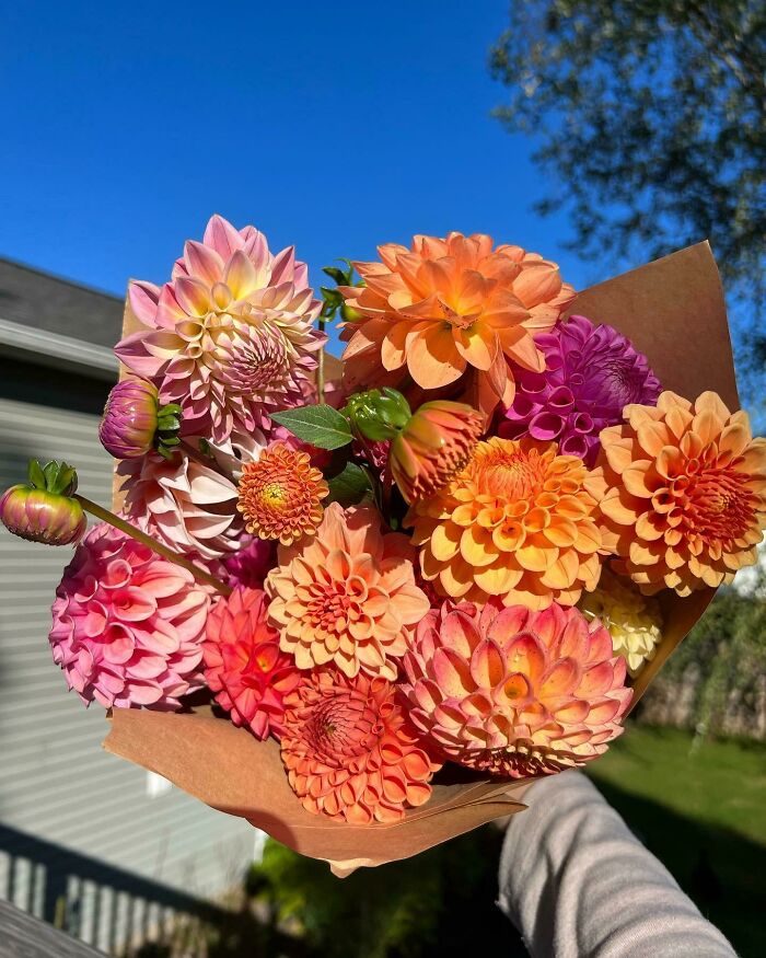 Possibly My Last Bouquet Before The Frost