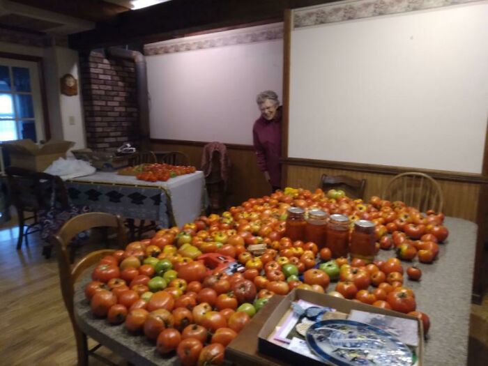 La cosecha de tomates de mi abuela de 91 años este año