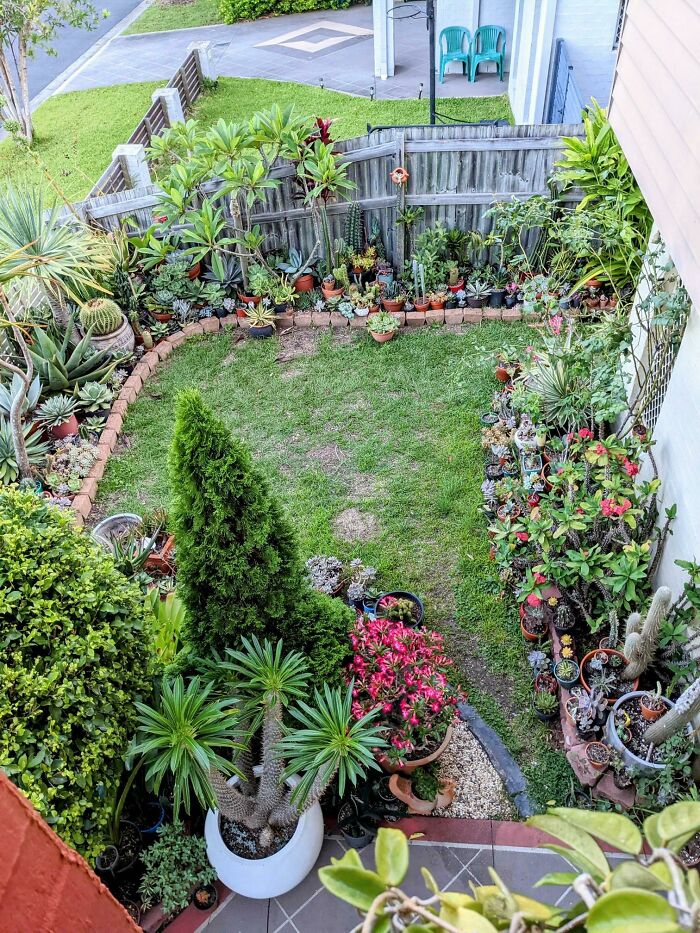 Una vista de mi jardín desde arriba