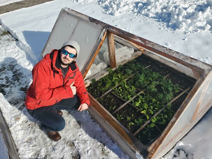 Winter Gardening Fun. Passive Heating. Canada, Zone 6b