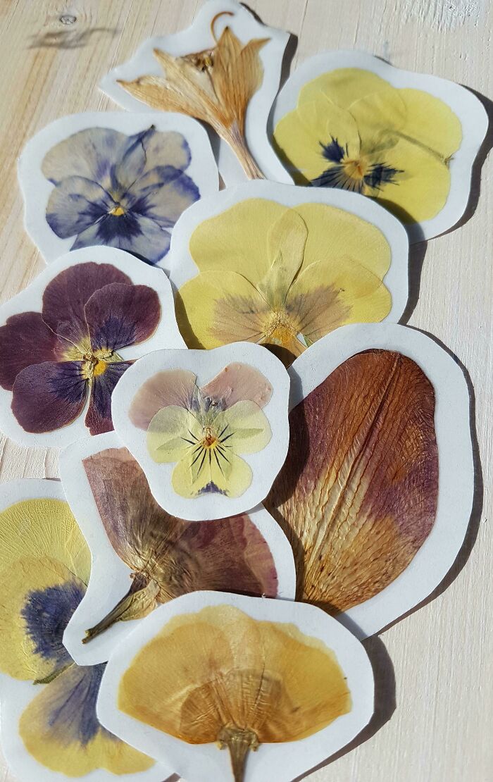 Flowers From My Garden, I Made Real Stickers With Dried Flowers