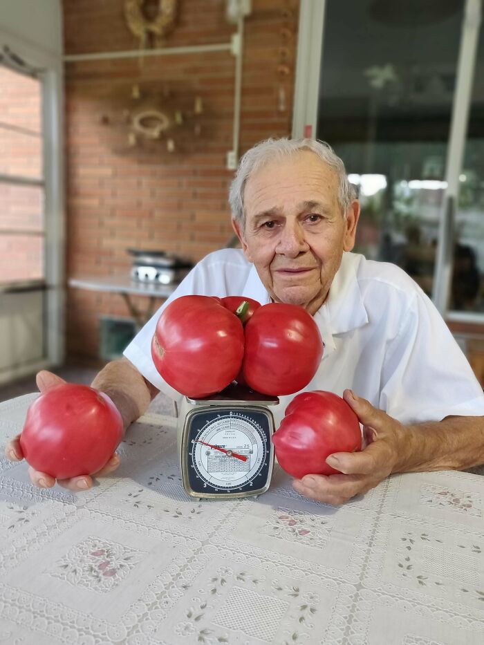 El tomate corazón de toro de 1,85 kg que cultivó mi vecino. Estaba muy orgulloso y quería compartirlo con todo el mundo