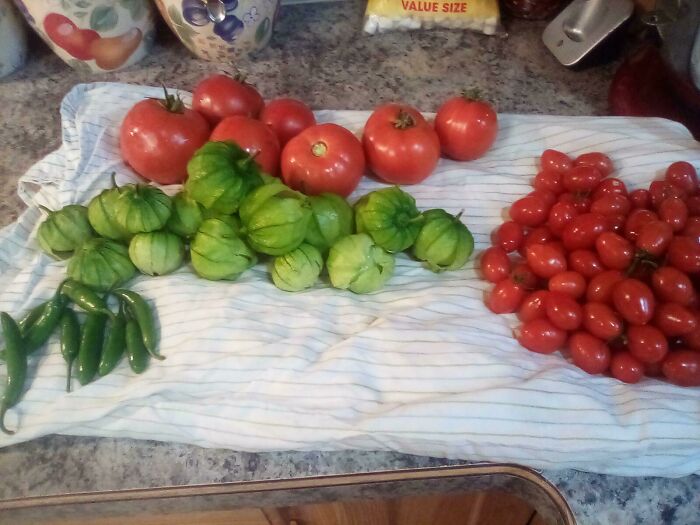 From My First Garden Without My Parents Help. Btw I'm 14