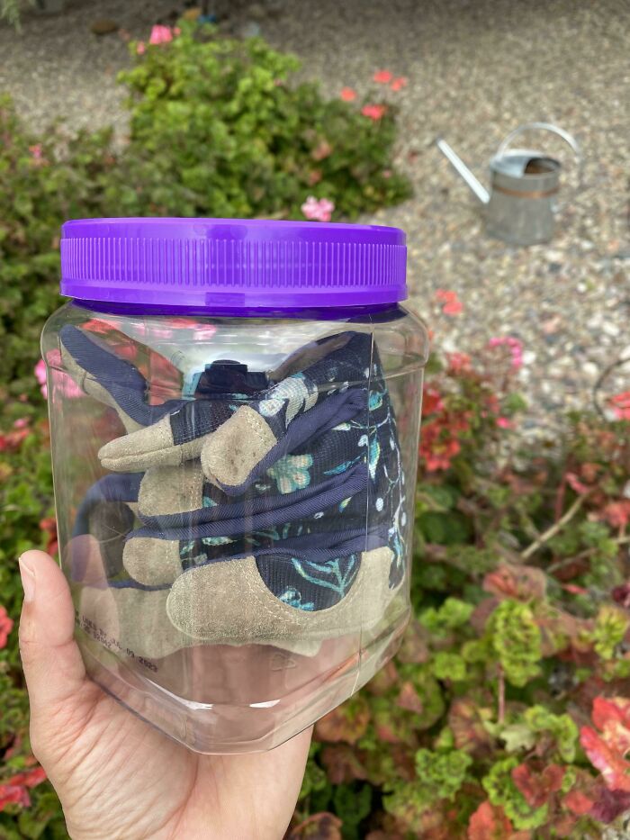 Gardener Tip: Store Your Gloves In An Air Tight Container To Keep Bugs From Snuggling In