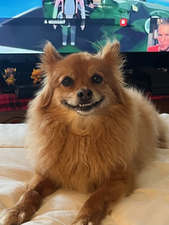 Coco's Face When We Turn On Her Favorite Streamer