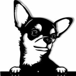 nicholasangelishotfuzz avatar