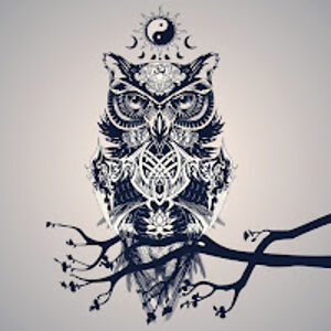 bradymcdaniel avatar