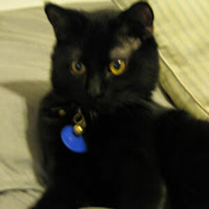 marcusherrera avatar