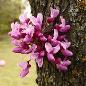 johnnybeowolfeogden avatar