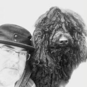 phoenixutilities avatar