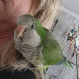 melissa_ryan1964 avatar