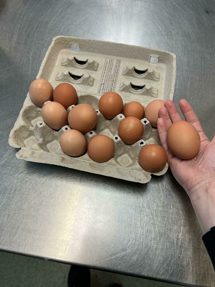 The Perks Of Having A Connection To A Local Egg Farm. They Sell Eggs Commercially, But The Biggest Ones Don’t Fit In Their Cartons And They Sell Me A Dozen Of Them For $2! Most Are Double Yolkers