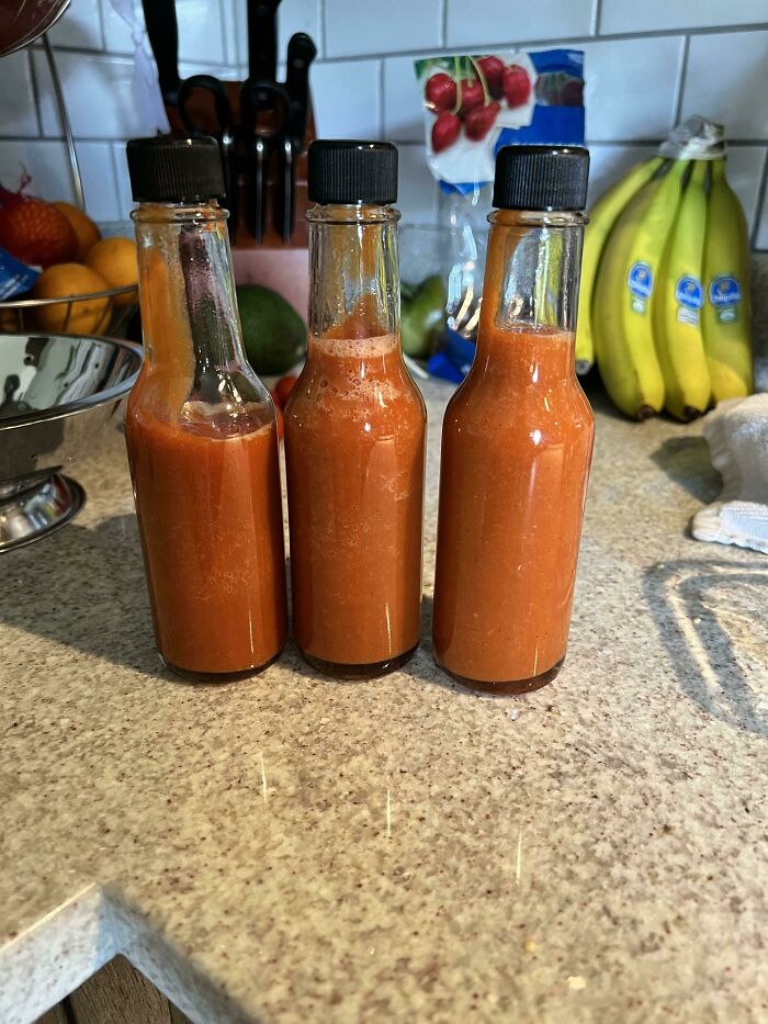 Hot Sauce From The Garden. Besides The Bottles Which I Reuse, This Cost Less Than $1 To Make