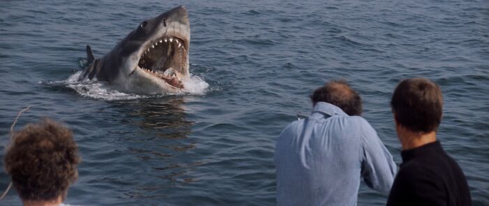 The Shark From "Jaws," Officially Named Bruce