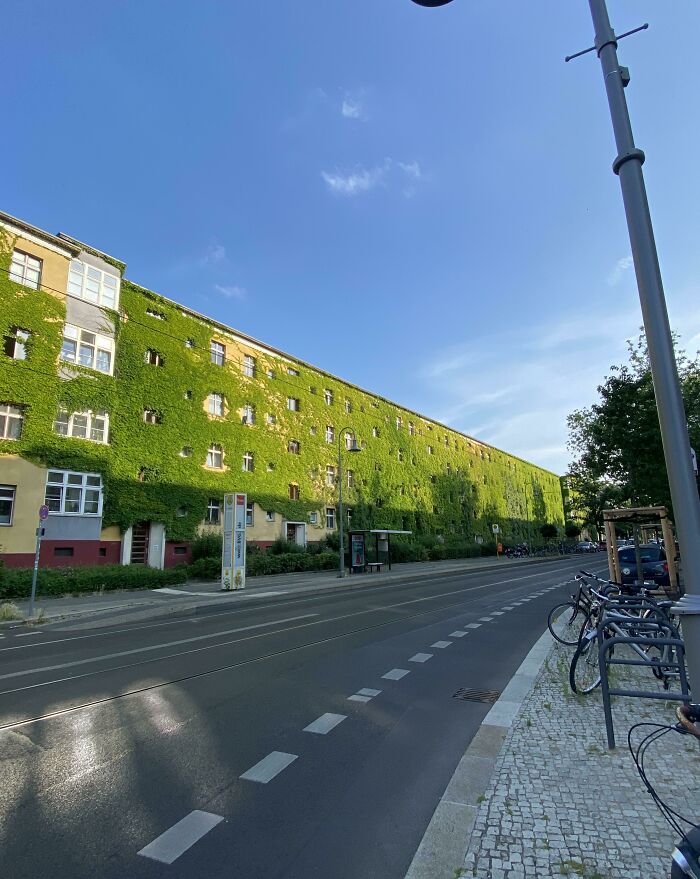 Green Houses In Berlin