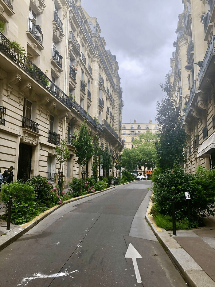 Paris, 9th Arrondissement. These Miniature Gardens Used To Be Car Parking Spaces Until A Few Years Ago. The City Reclaimed Them, And Replanted Them With Fruit Trees And Flowering Shrubs