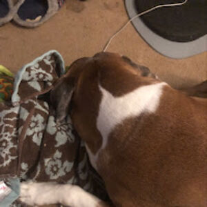 datsnuffydude avatar