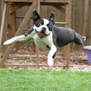 katherinesmith_3 avatar