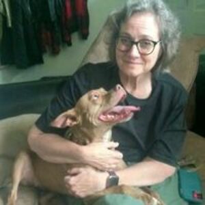 momgonepostal2 avatar