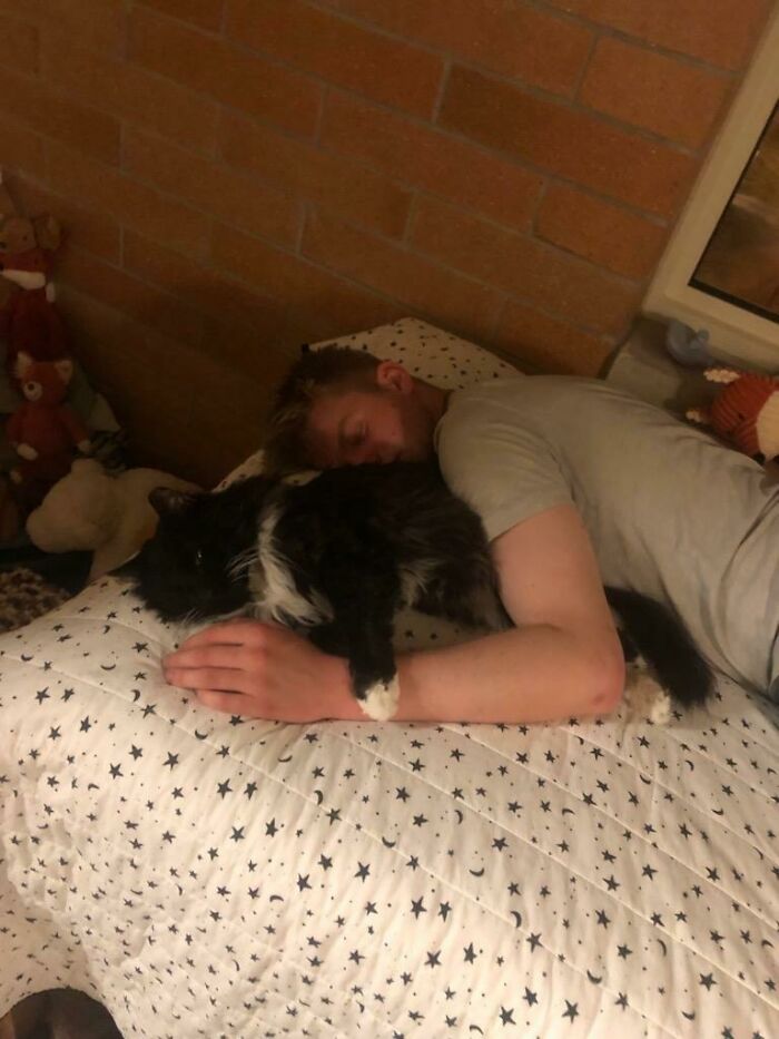Mi novio adoptó un gatito anciano de un refugio para su nuevo hogar. Creo que le gusta estar aquí